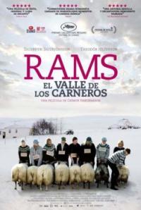 Rams (Hrútar)