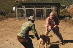 Disgrace (Desgracia)