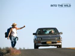 Into the wild / Hacia rutas salvajes