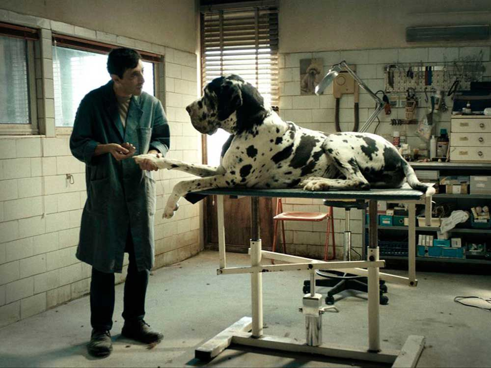 Dogman