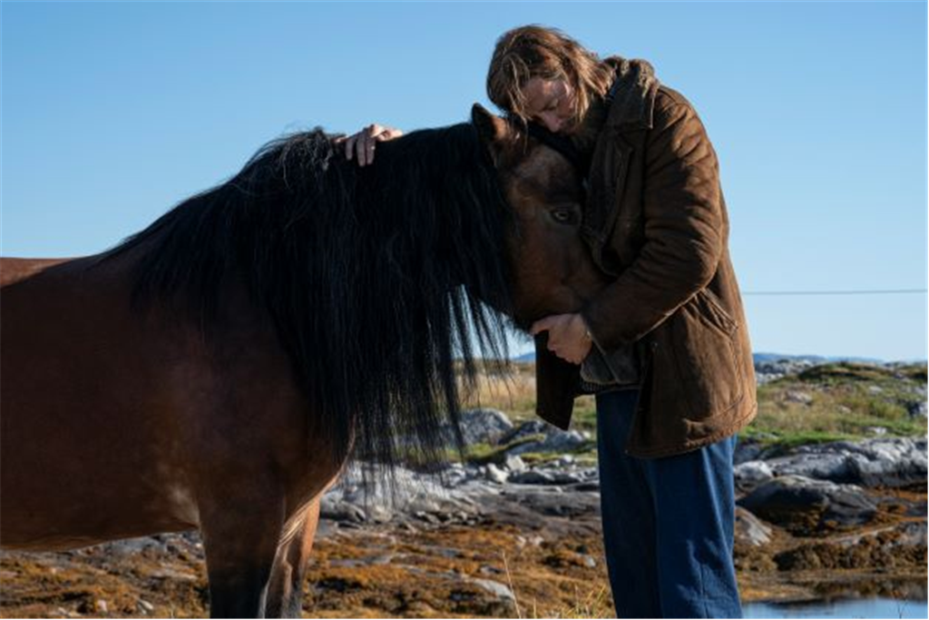 Todo el mundo odia a Johan (Alle hater Johan)