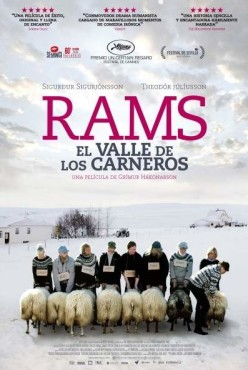 Rams (Hrútar) kartela