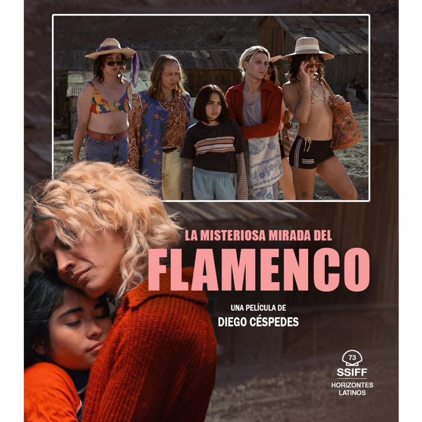 La misteriosa mirada del flamenco - kartela