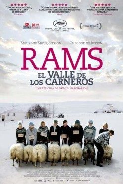 Rams (Hrútar)